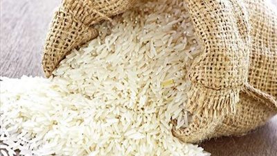 إيران تحظر استيراد الأرز دعمًا للمنتج المحلي
