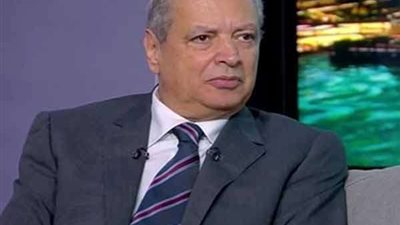 بدر الدين: محاولات الهارب محمد علي ضمن إطار مهاجمة مصر لصالح أطراف أخرى