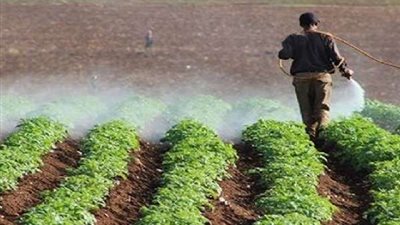 بروتوكول تعاون بين 