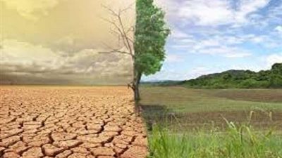 التضامن: 10 مليون جنيه للعام المالي الحالي لمهمات الإغاثة