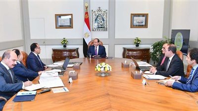 السيسي يتابع مؤشرات الأداء الاقتصادي مع 