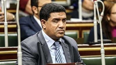 خالد حنفي: قانون عاملات المنازل به عوار دستوري لهذه الأسباب