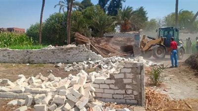 إزالة 17 حالة تعد على أرض زراعية ببني سويف