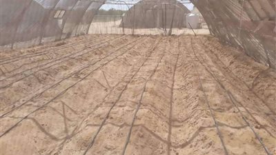 الوادي الجديد: الانتهاء من العمل بـ5 صوب في مدرسة الخارجة