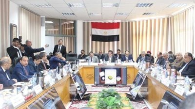 رئيس جامعة بني سويف يشارك في اجتماع 