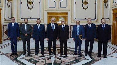 العصار يبحث توطين تكنولوجيا الطاقة الشمسية مع أحد علماء مصر بالخارج