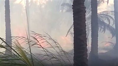 السيطرة على حريق هائل في كربلاء العراقية