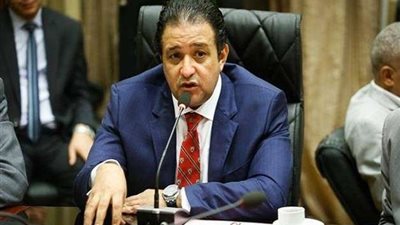 عابد: استجابة الحكومة للبرلمان يؤكد انتصارها لحقوق الإنسان