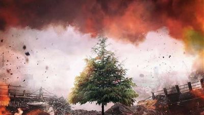 نبيلة عبيد: 