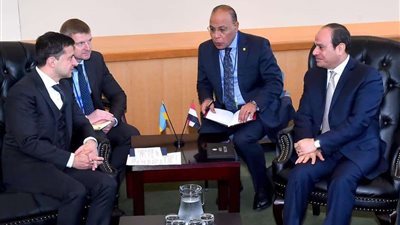 السيسي يبحث مع رئيس أوكرانيا أوضاع الطلاب المصريين وحماية مصالحهم