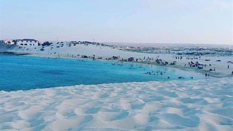بلدنا اليوم