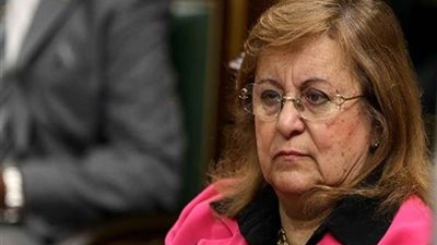 بسنت فهمي: قرار إسقاط الديون عن المتعثرين ليس سهلا