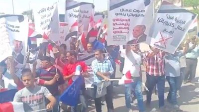 بالفيديو.. أهالي محافظة السويس المؤيدين للرئيس يرفعون رايات 