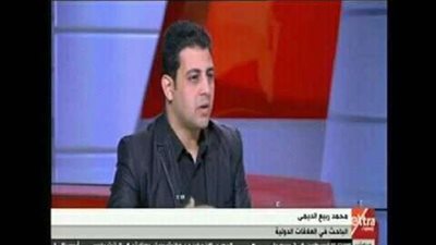 خبير دولي: أردوغان ضد حقوق الإنسان ويتاجر بالقضية الفلسطينية