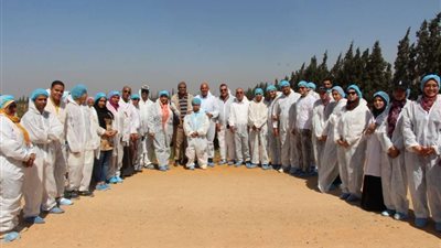 نقابة المعلمين تنظم رحلة تعليمية لأحد الصروح الزراعية بمصر