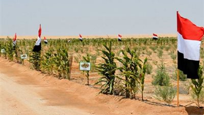 مدينة عمرانية متكاملة.. خطة الدولة لتنمية 