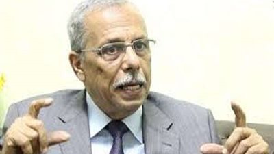 محمود منصور: احتشاد الآلاف لدعم الدولة أفضل رد على دعاة الفوضى