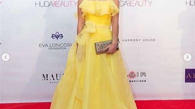 23 أغسطس.. حازم شاهين وكارمن سليمان في قلعة صلاح الدين