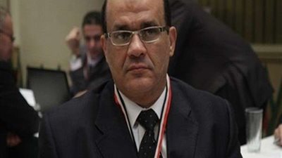 برلماني: الشعب واجه دعاوي الفوضى بالوقوف مع الجيش والشرطة