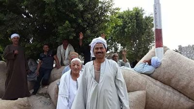 استياء بين مزارعي القطن ببني سويف بسبب تأخر انعقاد المزاد