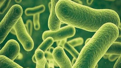 عدوى بكتيرية خطيرة تنتشر في دولة عربية