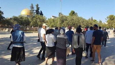 صهاينة يقتحمون الأقصى في أيام أعياد رأس السنة العبرية