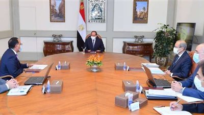 الرئيس السيسي يوجه بتعزيز جهود تطوير قطاع التعدين في مصر