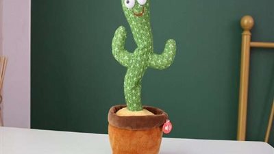 أخصائي تخاطب يحذر من خطورة الصبارة الراقصة