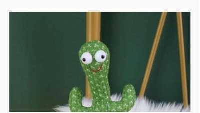 سر انتشار الصبارة الراقصة وسعرها الأصلي.. الغرفة التجارية توضح التفاصيل