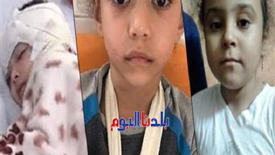 الاتنين من الدقهلية.. 