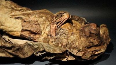 رغم وفاتها من 5 قرون.. عرض جثة طفل سليمة بـ جرين لاند