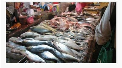 شرطة التموين  تضبط 9,5 طن 