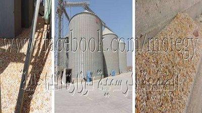 حملات تموينة مكثفة لضبط الخارجين عن القانون وقضايا الفساد بالمحافظات