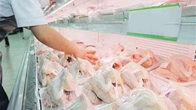 بالتفاصيل.. أسعار الدواجن بالأسواق اليوم الثلاثاء