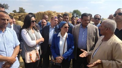 بالصور.. وزيرة البيئة ومحافظ البحيرة يتفقدان مواقع تجميع قش الأرز بكوم حمادة