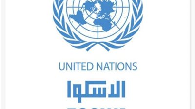 هل مخصصات السحب الخاصة لصندوق النقد تدعم الدول العربية وتعزز السيولة؟.. الإسكوا تجيب