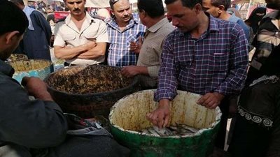 صحة الشرقية: تغلق 28 منشأة غذائية وإعدام أكثر من طن أسماك فاسدة