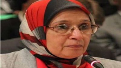 إلهام محمود: المخلفات مصدر كبير للطاقة يجب تضافر الجهود لاستغلالها