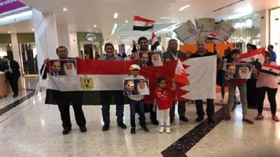 الجالية المصرية بالبحرين: نشارك في حملة 