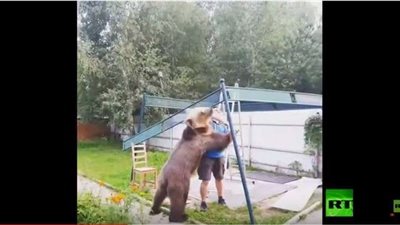 دب مفترس يودي بحياة برلماني مشهور.. تعرف على التفاصيل