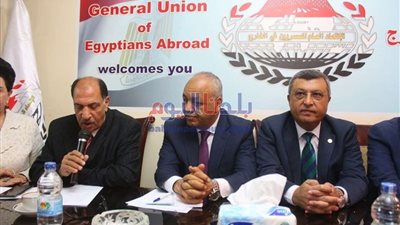 إسماعيل علي: المصريون في الخارج يدعمون سياسة السيسي