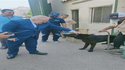 رئيس جامعة القاهرة يصافح كلبًا أمام مدينة الطلبة 