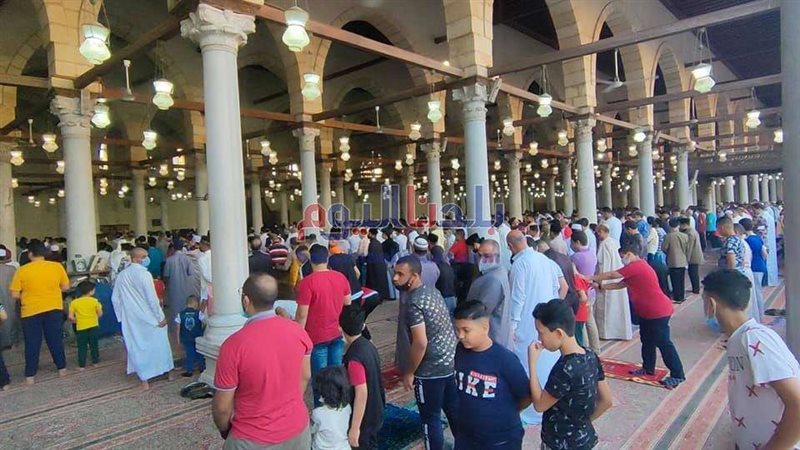 بلدنا اليوم