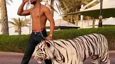 شاهد محمد رمضان بصحبة نمر بحديقة منزله