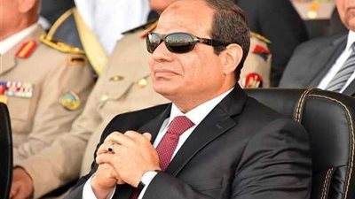 السيسي يلتقي رئيس الصندوق الدولي للتنمية الزراعية
