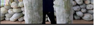 وزنها 90 كيلو.. مزارع صيني ينتج أكبر بطيخة في العالم