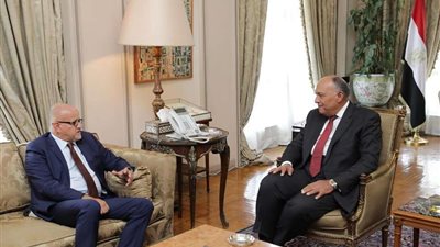 بالصور.. شكري يعقد جلسة مشاورات مع وزير خارجية الجبل الأسود