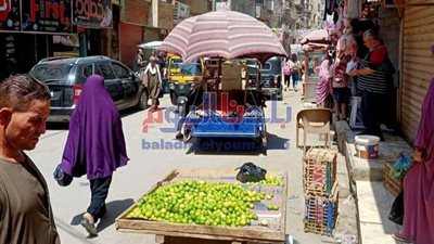 بالصور | حملة مكبرة لرفع الإشغالات بشوارع سمالوط