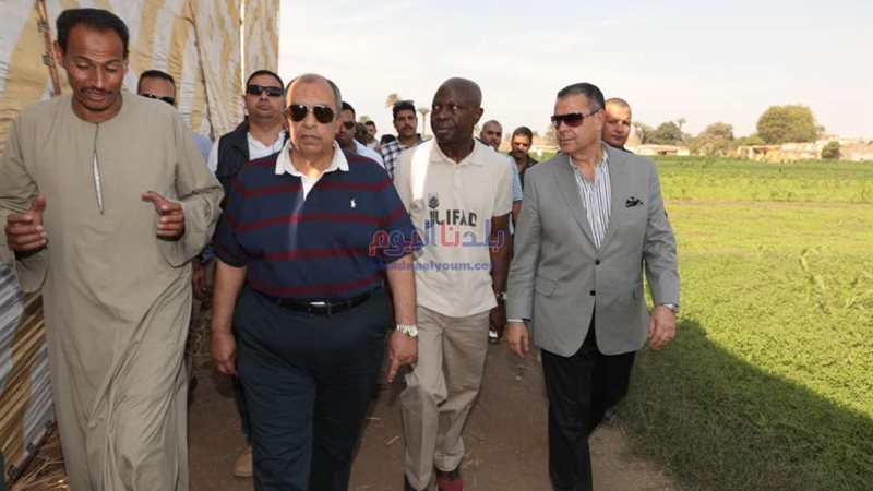 بلدنا اليوم