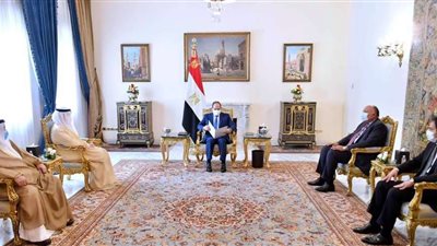 وزير الخارجية الكويتي ينقل رسالة خطية من أمير الكويت إلى الرئيس السيسي